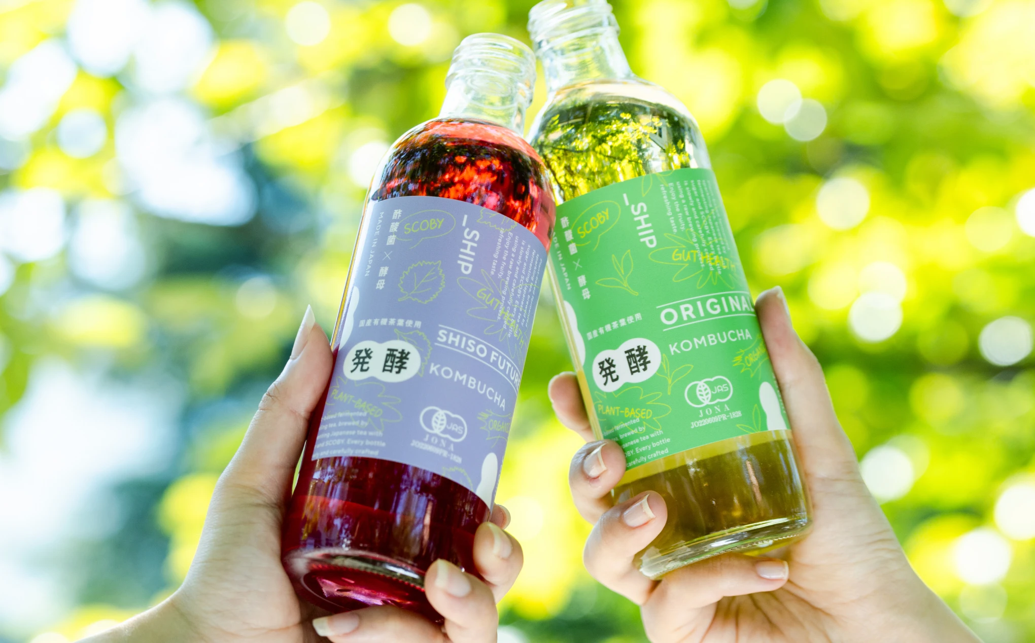 _SHIP KOMBUCHA