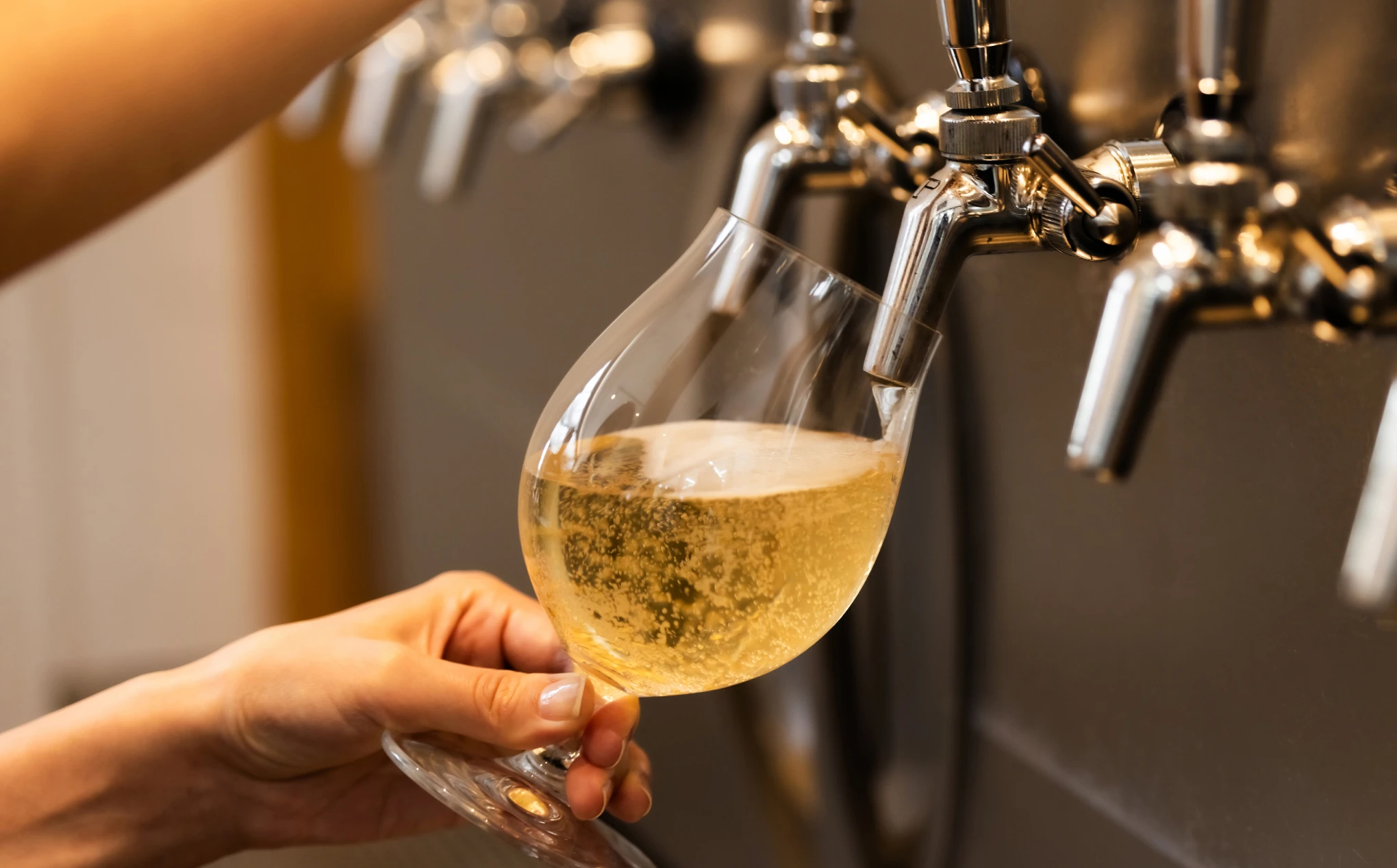 _SHIP KOMBUCHA Taproom